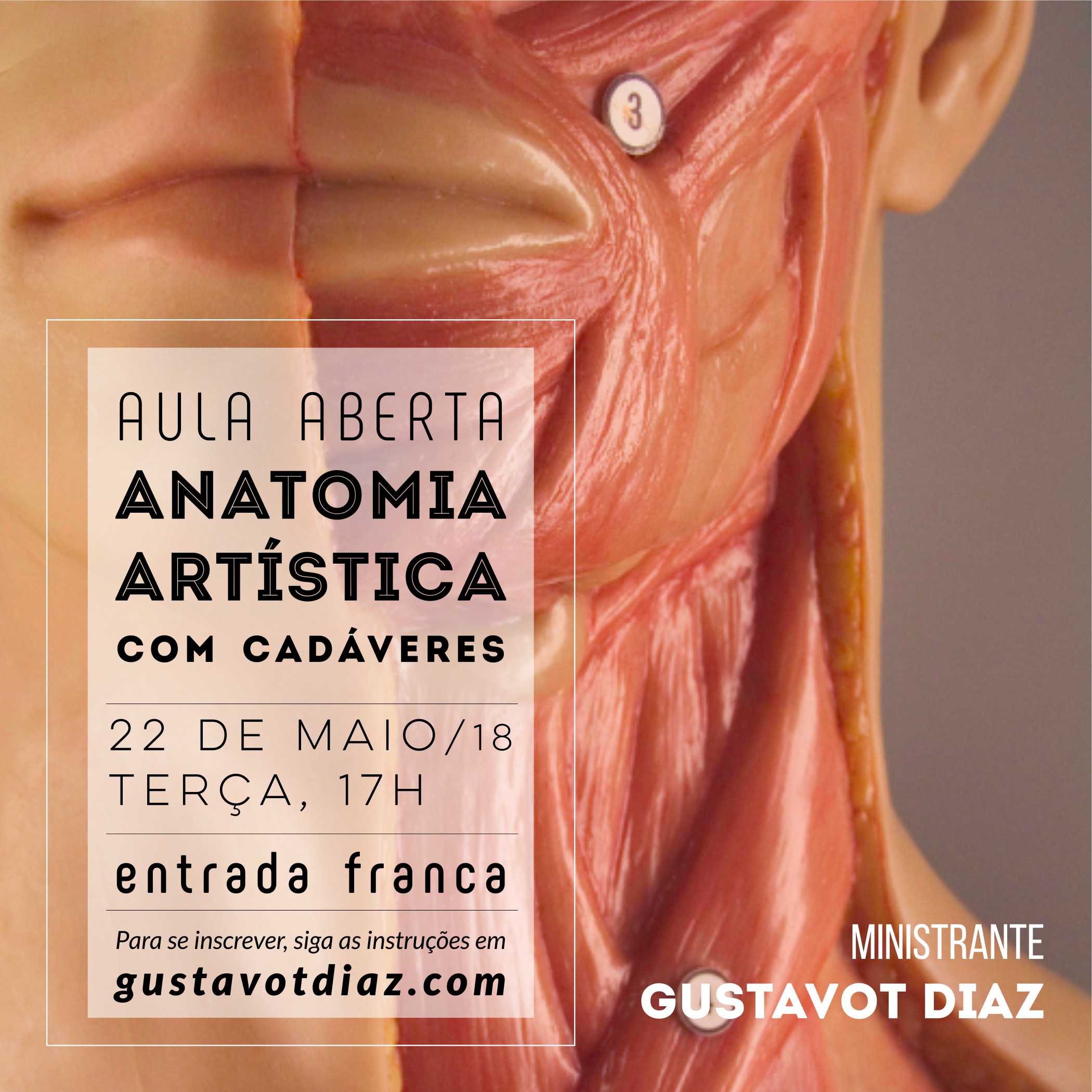 INSTA Aula gratuita Anatomia, 2018, I