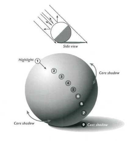 Ilustração do livro de Juliette Aristides, "Classical Drawing Atelier: A Contemporary Guide to Tradicional Studio Practice" (Watson Guptill, 2006)